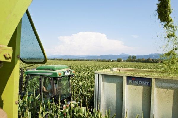 2. Platz: H�ckselgemeinschaft Fr�hlin