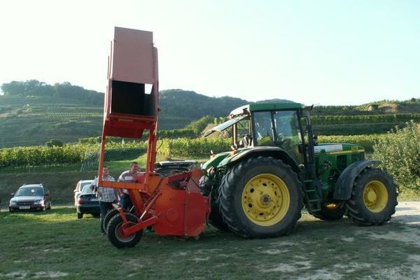 2. Platz: Rebstockh�cksler