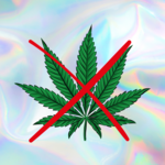 Cannabisverbot auf Landjugend-Veranstaltungen